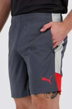 Calções Puma Individual Liga