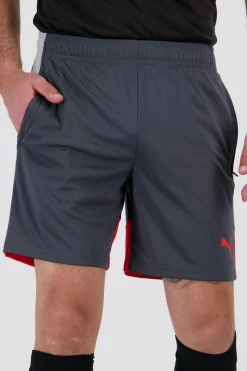 Calções Puma Individual Liga
