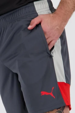 Calções Puma Individual Liga