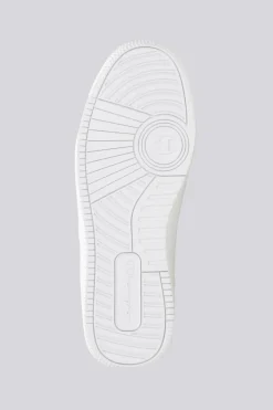Champion Rd 18 Low