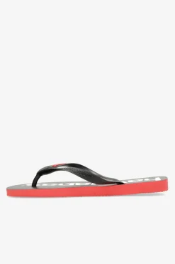Havaianas Top Logomania 2