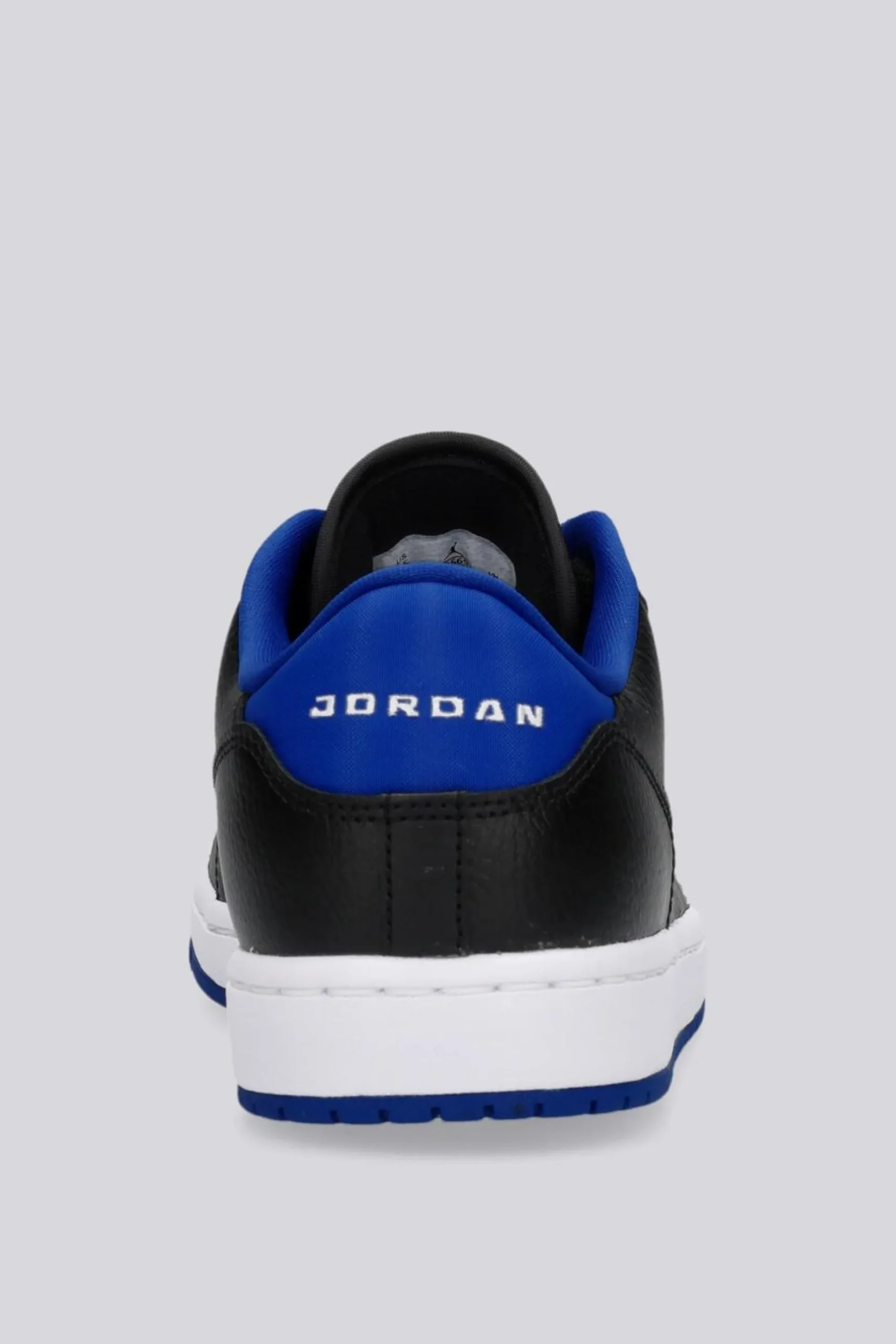 Jordan Acces Court Low
