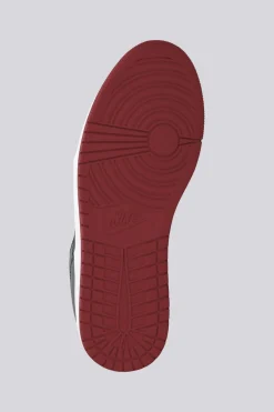 Jordan Acces Court Low