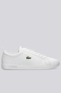 Lacoste Carna Base