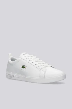 Lacoste Carna Base