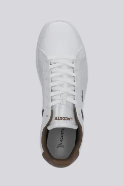 Lacoste Lite Base