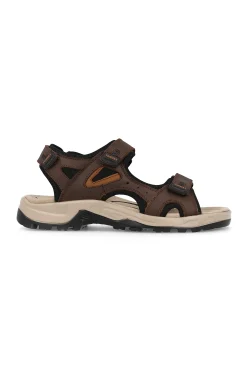 Paredes Medellin