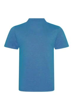 Polo Awdis