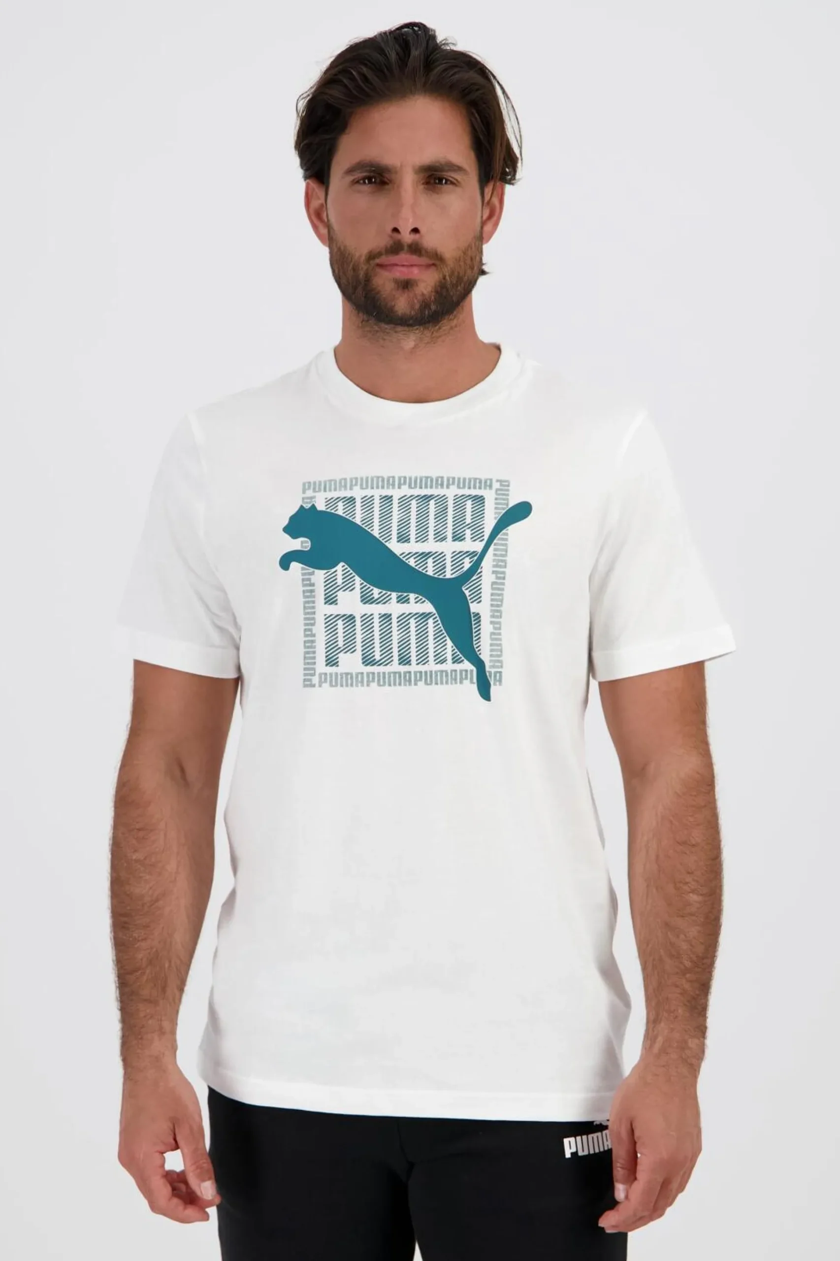 Puma Box