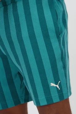 Puma Class