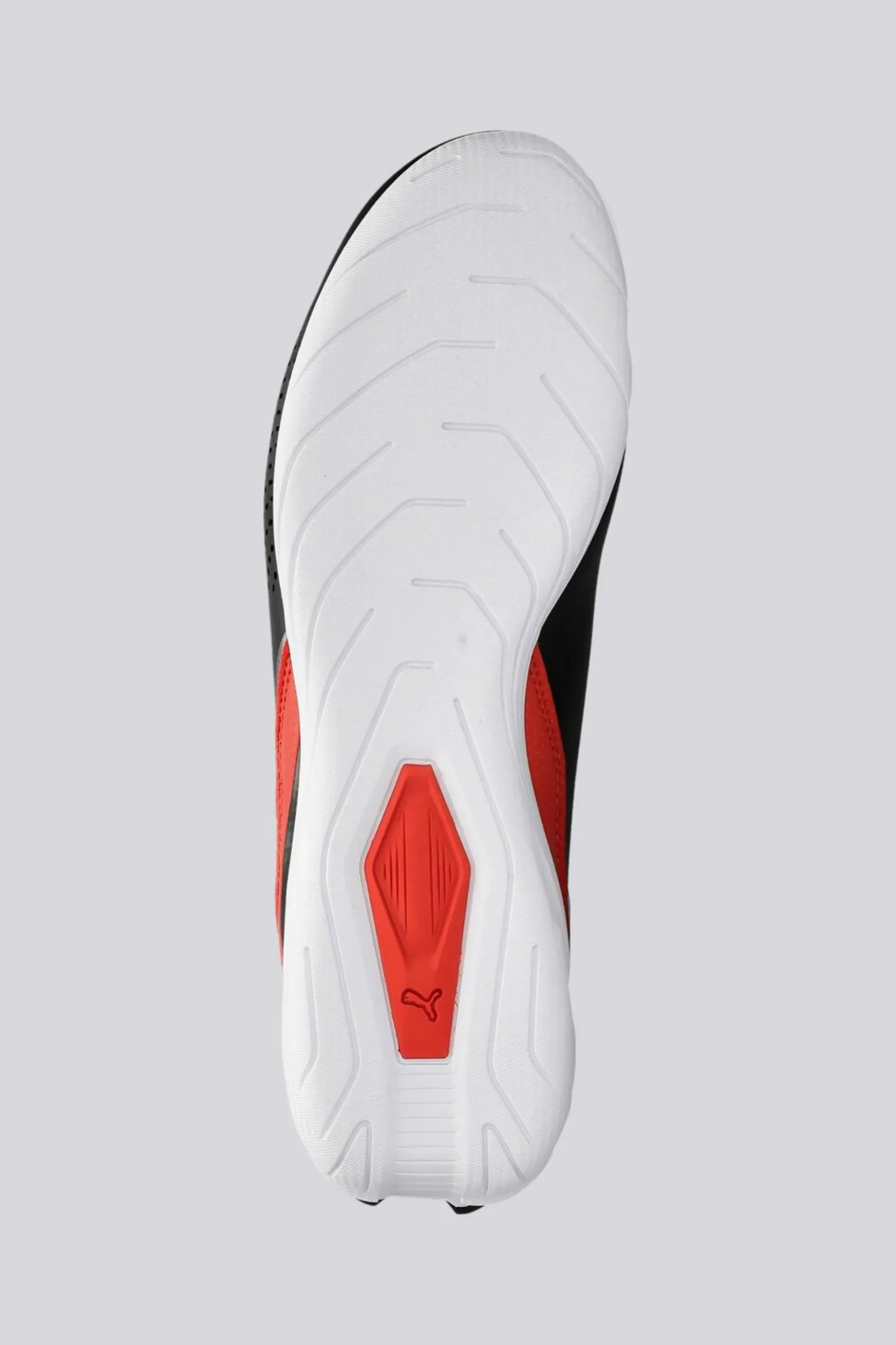 Puma Drift Cat