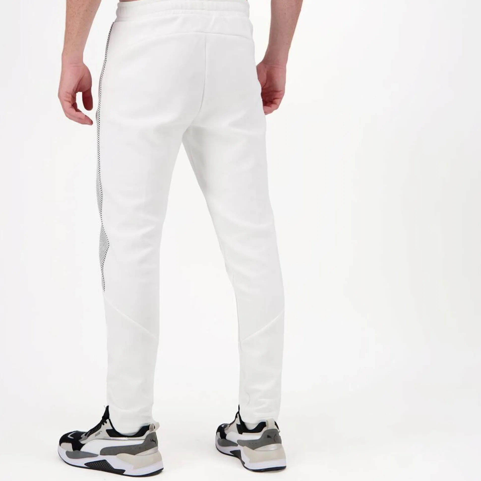 Puma Evo