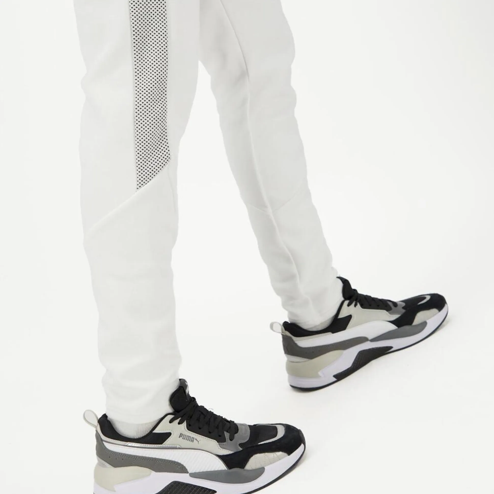 Puma Evo