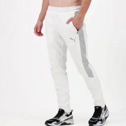 Puma Evo