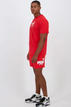 Puma Lab
