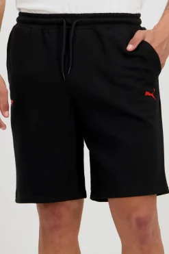 Puma Motor F1