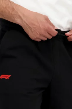 Puma Motor F1