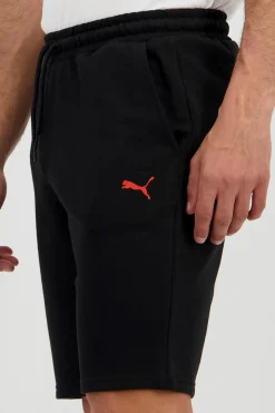 Puma Motor F1
