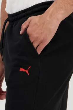 Puma Motor F1