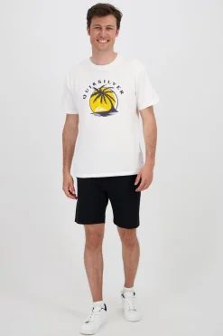 Quiksilver Front Logo