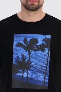 Silver Beach
