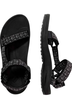 Teva Winsted